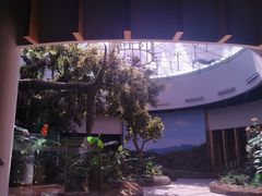 -陕西自然博物馆