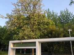 -白塘生态植物园