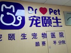 -宠颐生猫科·内科皮肤科(西平世纪城店)