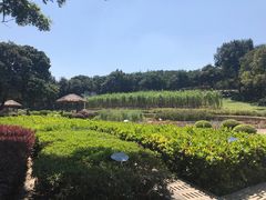 -天河儿童公园