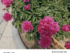 -莲池书院博物馆