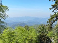 -莫干山风景区