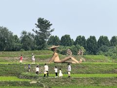 -乌村