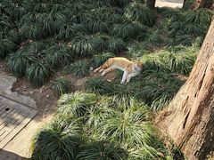 -杭州上天竺法喜讲寺