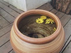 -云里小坐·小院里·团建·宴请·下午茶(三圣乡店)