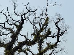 -明月山天沐温泉度假村