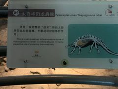 -自贡恐龙博物馆