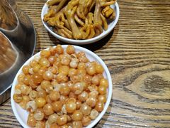 -大鸽饭(马王堆店)
