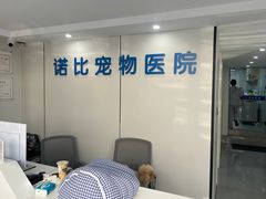 -诺比宠物医院心脏内科·泌尿肾内外科·骨科急重症