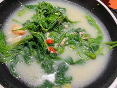 -羽鸽集·乳鸽专门店·地道顺德菜(岭南站店)