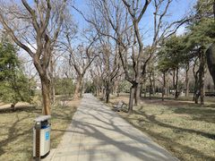 -玲珑塔公园