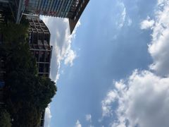 -上海中医药大学附属曙光医院(东部)