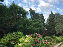 景点-景山公园