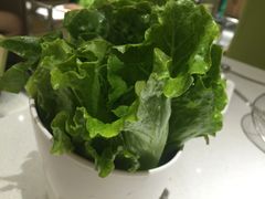 -古乐牛香·鲜牛肉牛杂火锅(新区店)