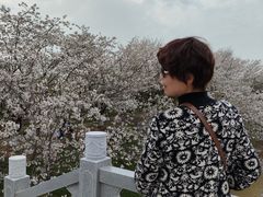 -武汉紫薇都市田园