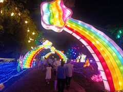 -广西壮族自治区药用植物园
