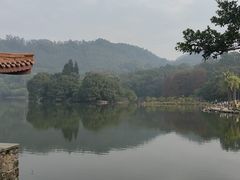 -深圳仙湖植物园