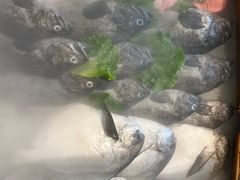 -映像威海·威海宴(威高广场店)