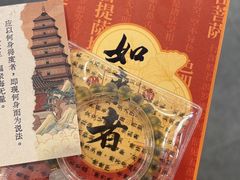 -大慈恩寺(大雁塔)
