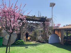 -正宗火盆自助烧烤·烤全羊·柴火鸡(龙泉山店)