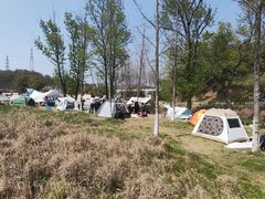 -佛手湖郊野公园