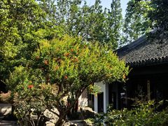 -秋霞圃