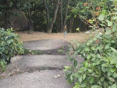 -阳台山森林公园