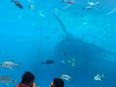 -瑞德姆美人鱼海底演艺主题餐厅(亚龙湾店)