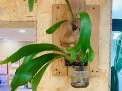 -Rabbit Cafe私房西餐甜点咖啡(栖霞路店)