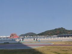-野狸岛