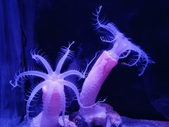 -鹿儿岛水族馆