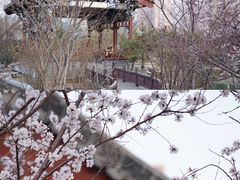 -迎泽公园