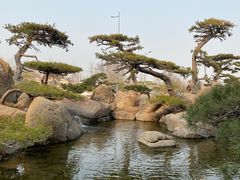 -罗红摄影艺术馆