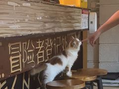 -逃脱反斗城沉浸剧情密室(北京路店)