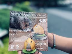 -红山森林动物园