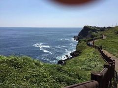 -涉地可支