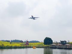 -空港花田景区