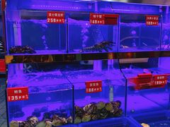 -小龍鳳·港式海鲜打边炉(沙湖路店)