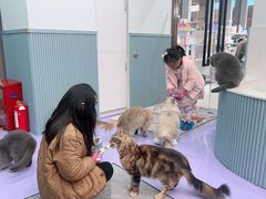 -1013 PET SHOP 宠物商店(近铁城市广场店)