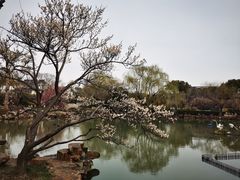 -司徒庙