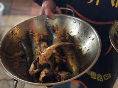 -金海椒罐罐鲢鱼(东方桂苑店)