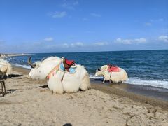 -青海湖国家重点风景名胜区