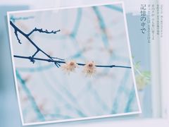 -绿岛公园(滨海新区)