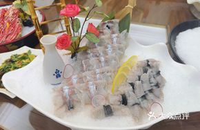 Japanese Eel