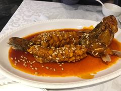 松鼠桂鱼-海富门·带鱼·淮扬菜·粤菜(甘家口店)