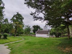-光明港公园