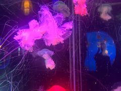 -太平洋海底世界