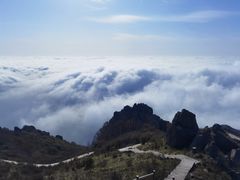 -白草畔自然风景区