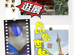 -上海大自然野生昆虫馆(东方明珠·爬宠昆虫探索中心)