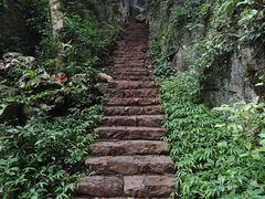 -普者黑风景区-青龙山